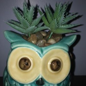 Meet your Posher, Vivi